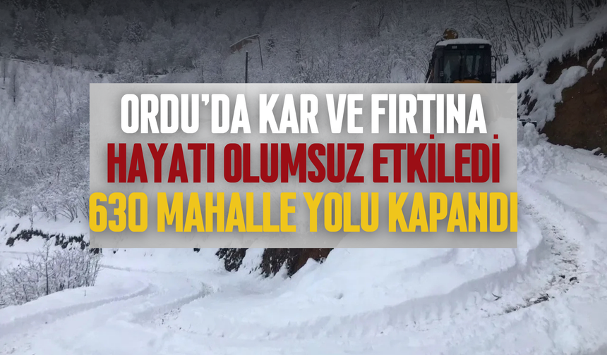 Ordu'da Kar ve Fırtına Hayatı Olumsuz Etkiledi: 630 Mahalle Yolu Kapandı