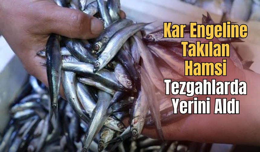 Ordu'da Kar Engeline Takılan Hamsi Tezgahlarda Yerini Aldı