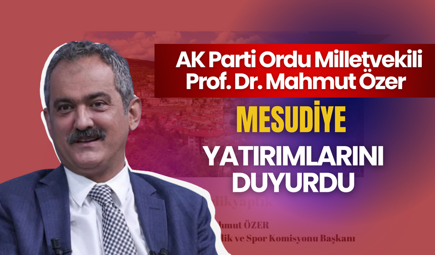 Milletvekili Özer, Mesudiye Yatırımlarını Duyurdu