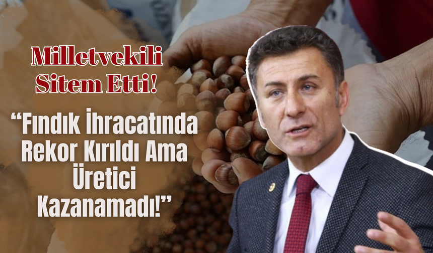 Milletvekili Sitem Etti! “Fındık İhracatında Rekor Kırıldı Ama Üretici Kazanamadı!”