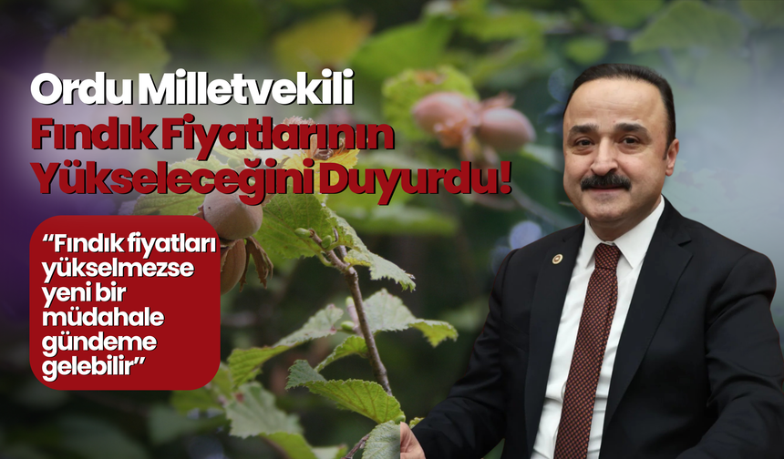 Ordu Milletvekili Fındık Fiyatlarının Yükseleceğini Duyurdu!