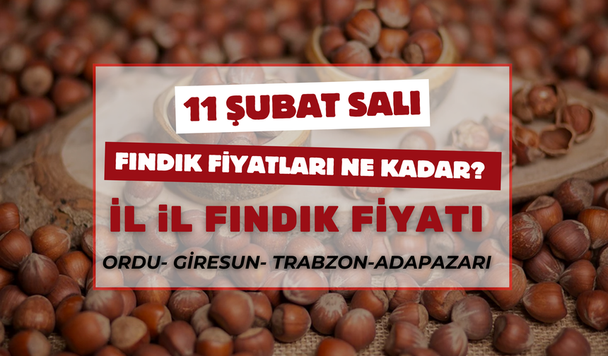 Ordu’da 11 Şubat 2025 Fındık Fiyatları Ne Kadar? İşte Güncel Durum!