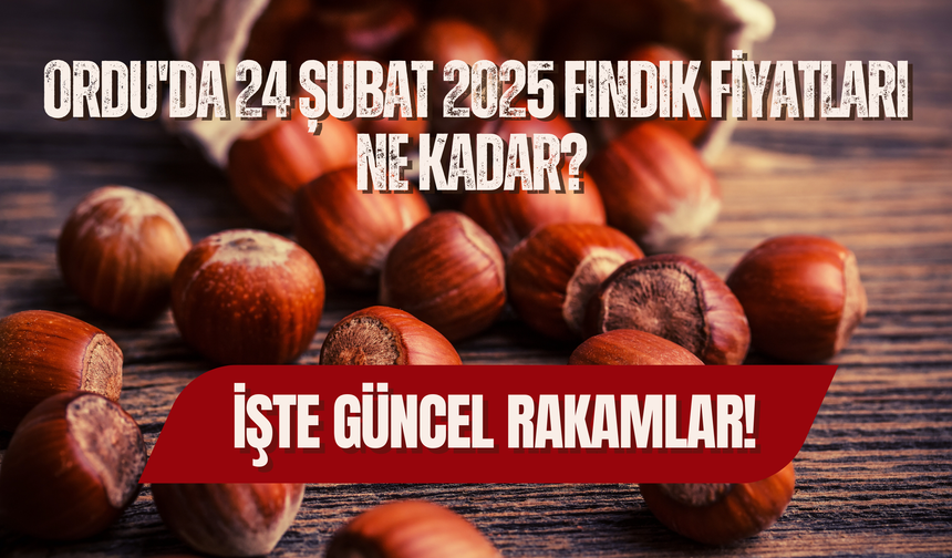 Ordu'da 24 Şubat 2025 Fındık Fiyatları Ne Kadar? İşte Güncel Rakamlar!