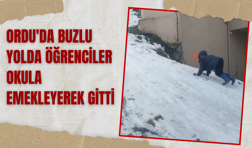 Ordu'da Buzlu Yolda Öğrenciler Okula Emekleyerek Gitti