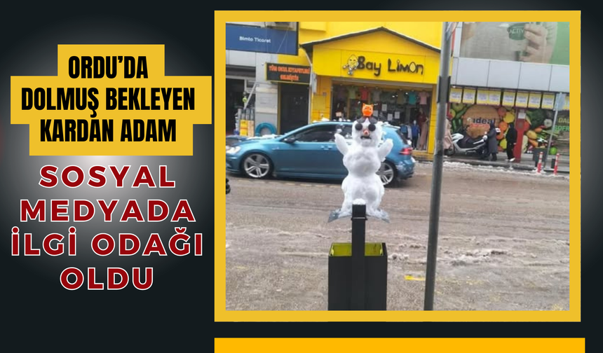 Ordu’da Dolmuş Bekleyen Kardan Adam Sosyal Medyada İlgi Odağı Oldu