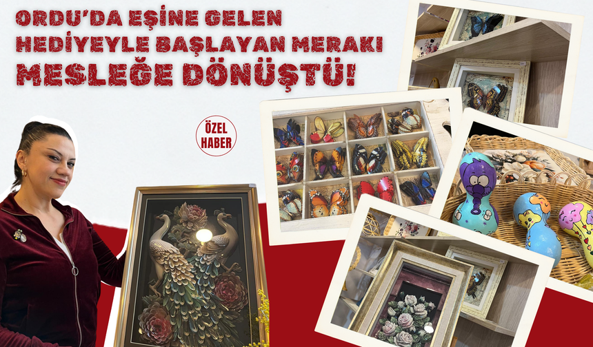 Ordu’da Eşine Gelen Hediyeyle Başlayan Merakı Mesleğe Dönüştü!