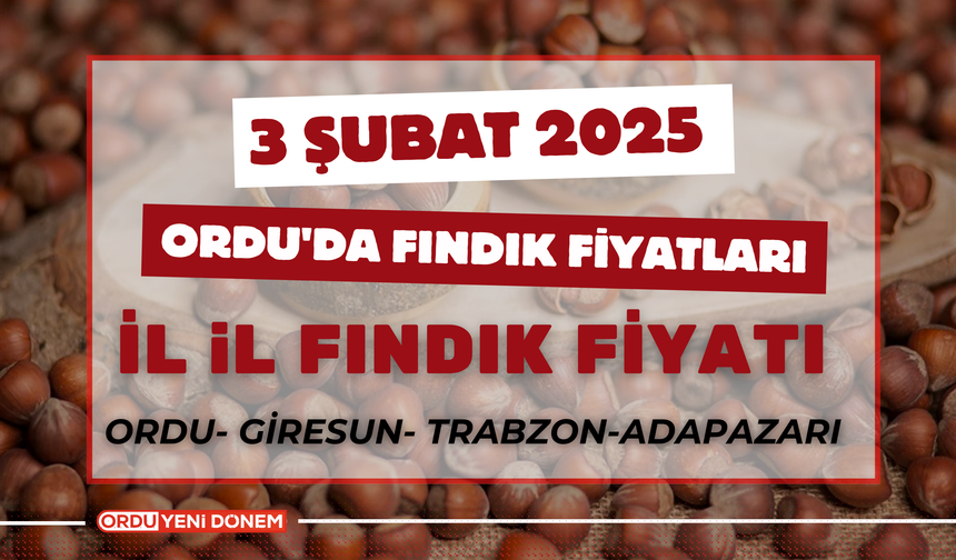 Ordu'da Fındık Fiyatları: 3 Şubat 2025 Güncel Rakam