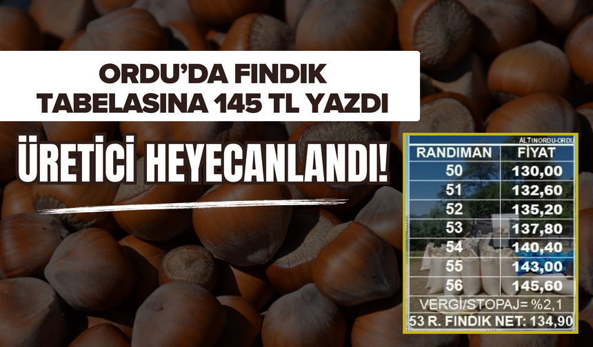 Ordu’da Fındık Tabelasına 145 TL Yazdı, Üretici Heyecanlandı!