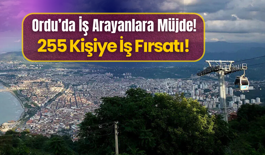 Ordu’da İş Arayanlara Müjde! 255 Kişiye İş Fırsatı!