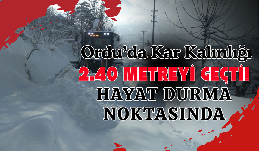 Ordu’da Kar Kalınlığı 2.40 Metreyi Geçti! Hayat Durma Noktasında