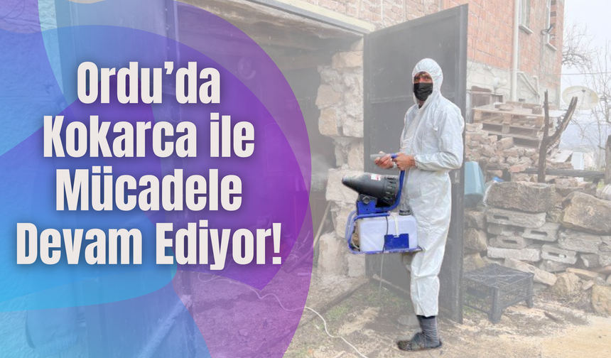 Ordu’da Kokarca ile Mücadele Kar Kış Demiyor!