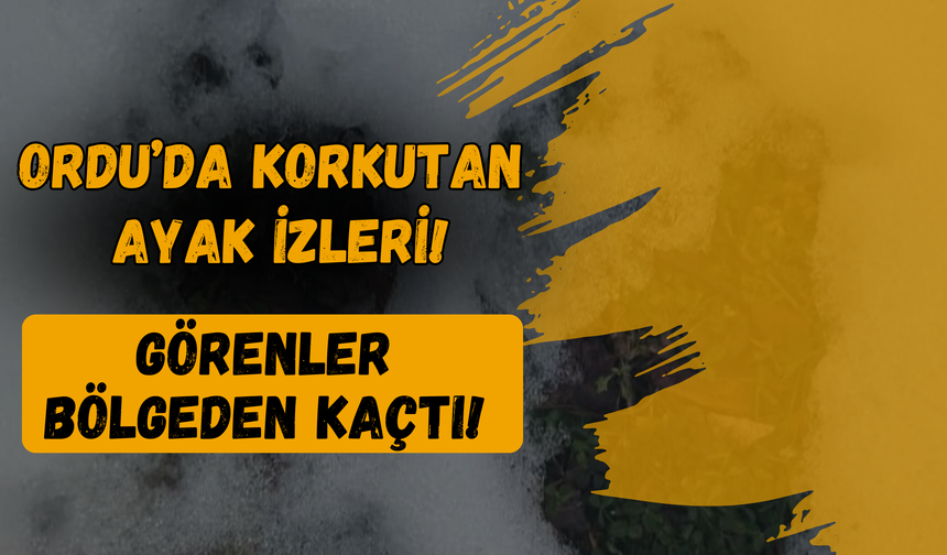 Ordu’da Korkutan Ayak İzleri: Görenler Bölgeden Kaçtı!