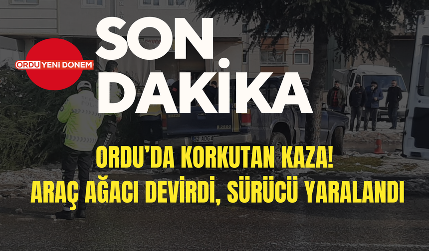 Ordu’da Korkutan Kaza! Araç Ağacı Devirdi, Sürücü Yaralandı