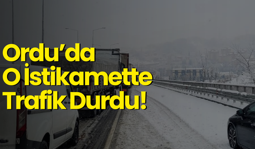 Ordu’da O İstikamette Trafik Durdu!