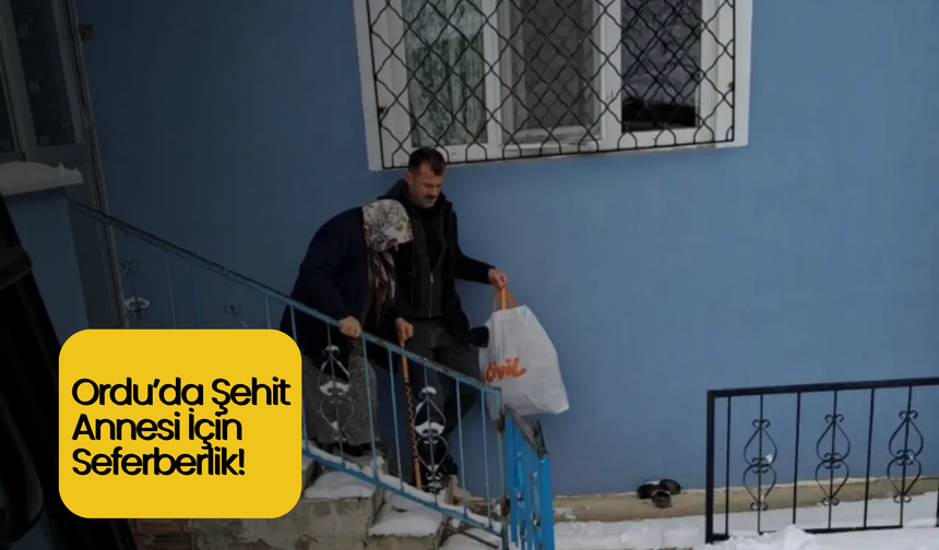 Ordu’da Şehit Annesi İçin Seferberlik!