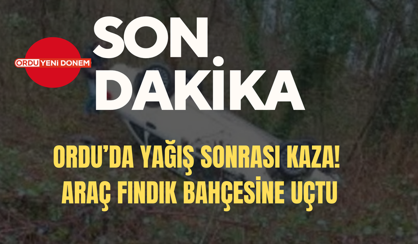 Ordu’da Yağış Sonrası Kaza! Araç Fındık Bahçesine Uçtu