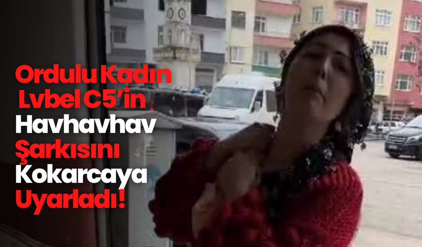 Ordulu Kadın Lvbel C5’in Havhavhav Şarkısını Kokarcaya Uyarladı!