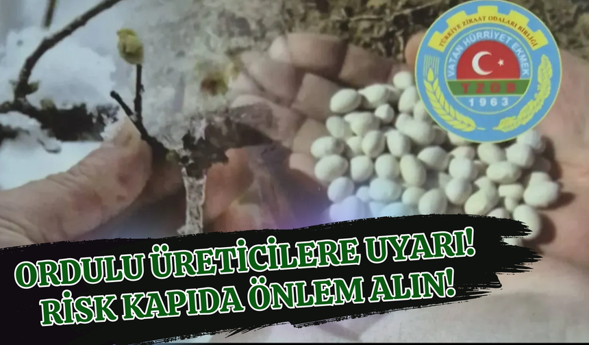 Ordulu Üreticilere Uyarı! Risk Kapıda Önlem Alın!