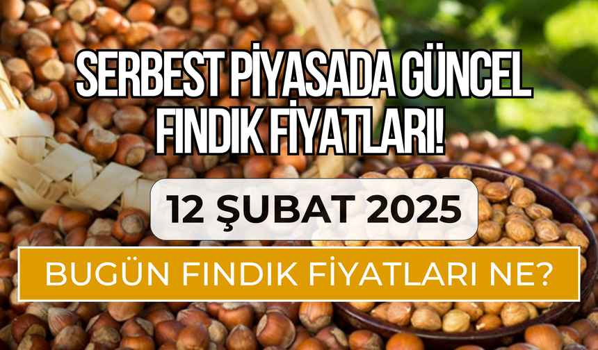 Serbest Piyasada Güncel FINDIK Fiyatları! (12 Şubat 2025)