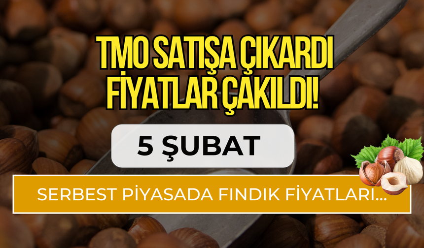 TMO Satışa Çıkardı, Fiyatlar Çakıldı! 5 Şubat Serbest Piyasada Fındık Fiyatları…