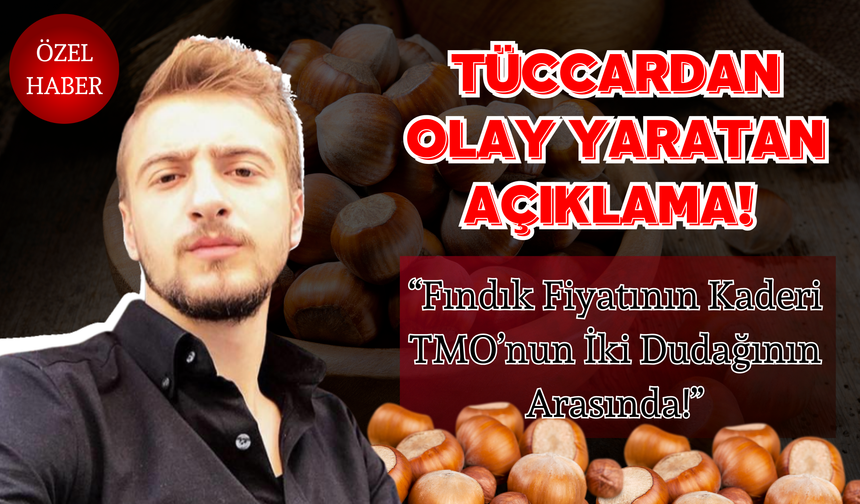 Tüccardan Olay Yaratan Açıklama! “Fındık Fiyatının Kaderi TMO’nun İki Dudağının Arasında!”