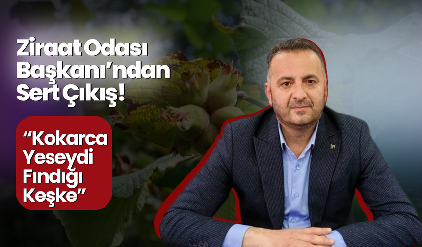 Ziraat Odası Başkanı’ndan Sert Çıkış! “Kokarca Yeseydi Fındığı Keşke”