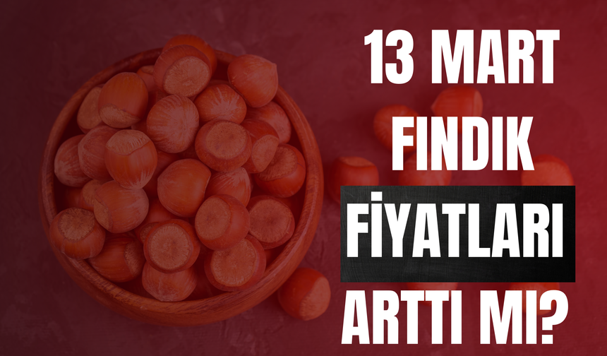 13 Mart Fındık Fiyatları Arttı Mı?