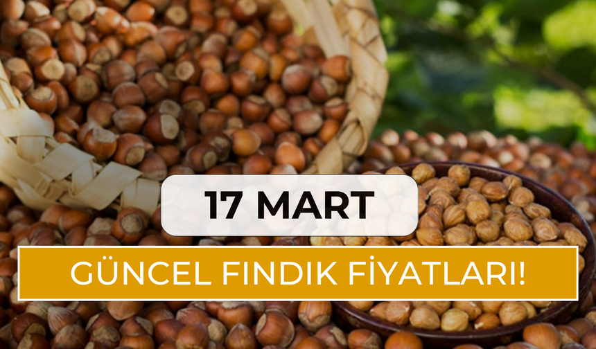 17 Mart Güncel Fındık Fiyatları!