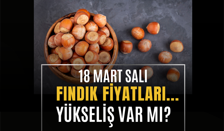 18 Mart 2025 Güncel Fındık Fiyatları