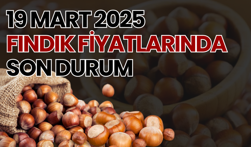 19 Mart 2025 Fındık Fiyatlarında Son Durum