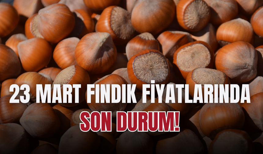 23 Mart Fındık Fiyatlarında Son Durum