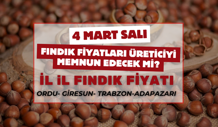 4 Mart Salı Günü Fındık Fiyatları? Üreticiler Endişeli!