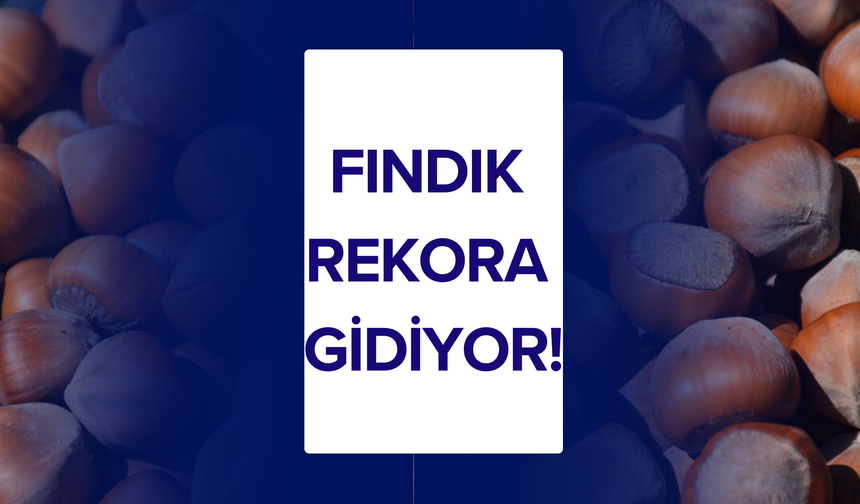 Fındık Rekora Gidiyor!