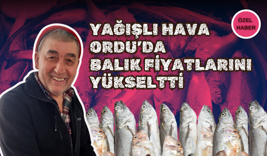 Yağışlı Hava Ordu’da Balık Fiyatlarını Yükseltti