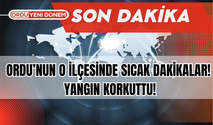 Ordu’nun O İlçesinde Sıcak Dakikalar! Yangın Korkuttu!