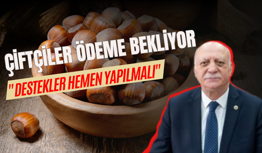 ÇİFTÇİLER ÖDEME BEKLİYOR "DESTEKLER HEMEN YAPILMALI"