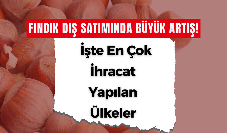 Fındık Dış Satımında Büyük Artış! İşte En Çok İhracat Yapılan Ülkeler