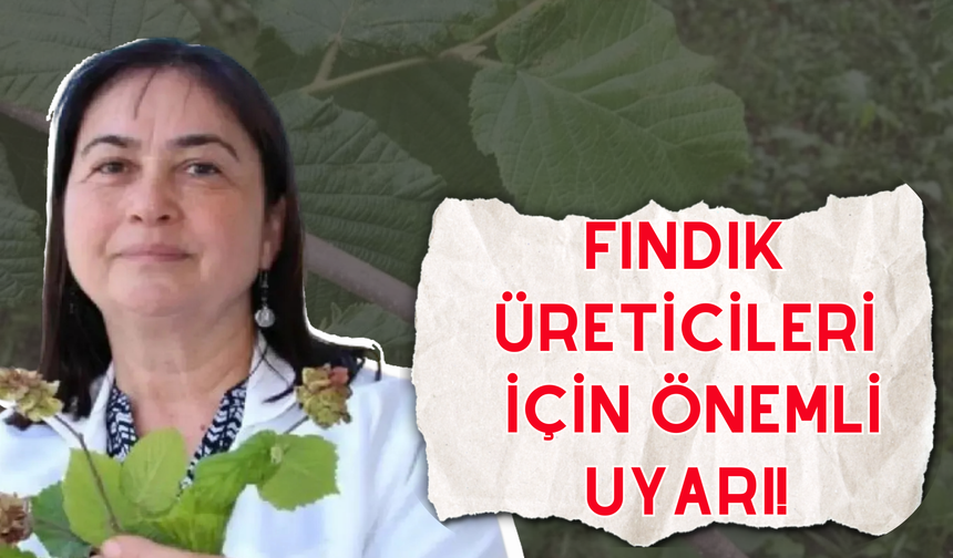 Fındık Üreticileri İçin Önemli Uyarı!