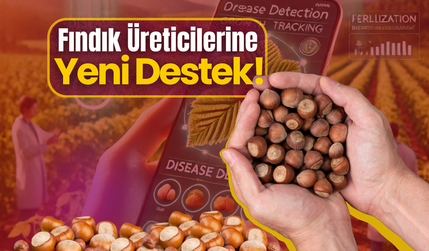 Fındık Üreticilerine Yeni Destek!