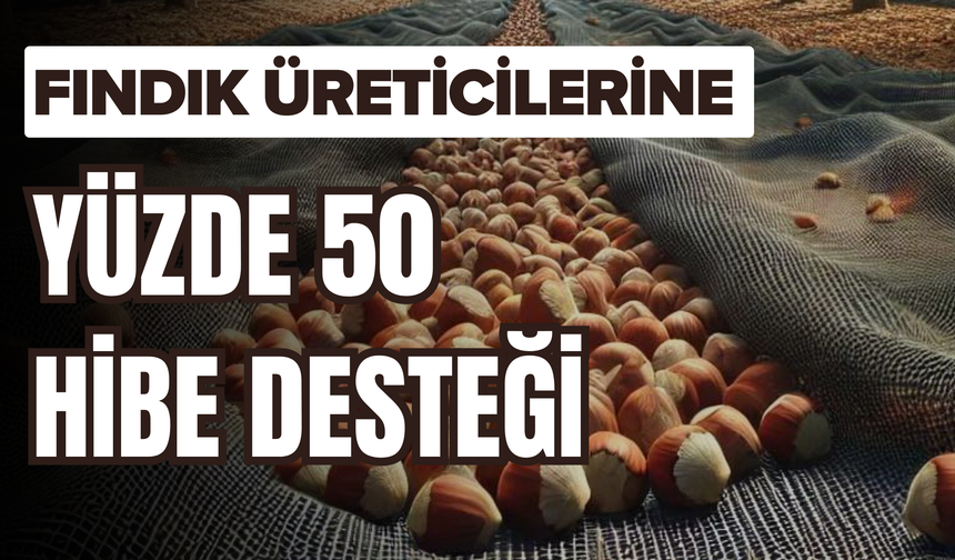 Fındık Üreticilerine Yüzde 50 Hibe Desteği