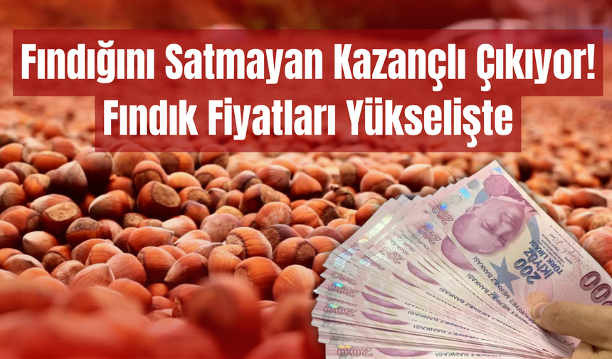 Fındığını Satmayan Kazançlı Çıkıyor! Fındık Fiyatları Yükselişte