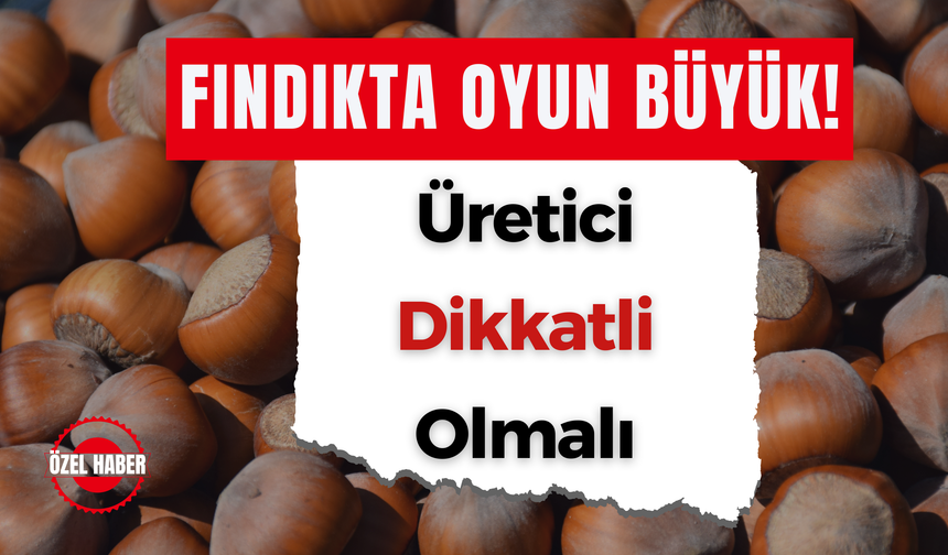 Fındıkta Oyun Büyük! Üretici Bu Tuzağa Düşmesin!