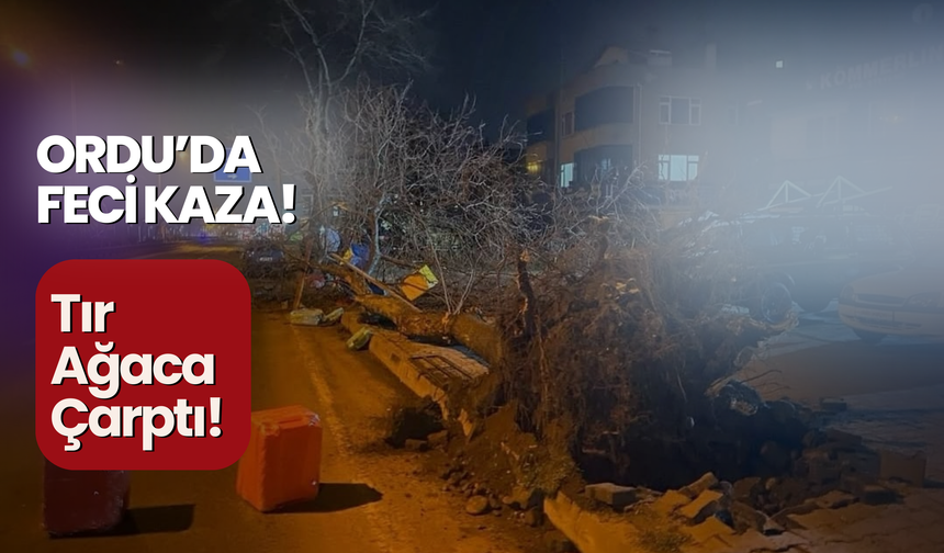 Ordu'da Feci Kaza: Tır Ağaca Çarptı!