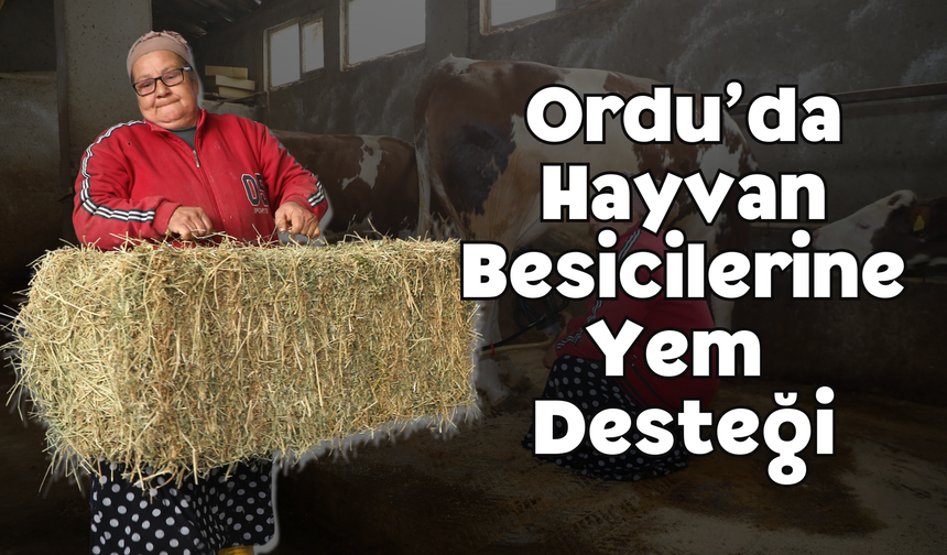 Ordu’da Hayvan Besicilerine Yem Desteği