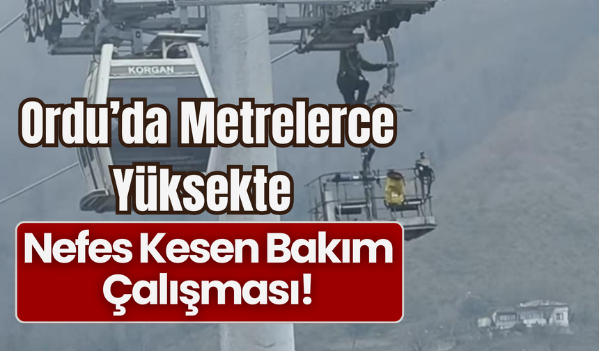 Ordu’da Metrelerce Yüksekte Nefes Kesen Bakım Çalışması!