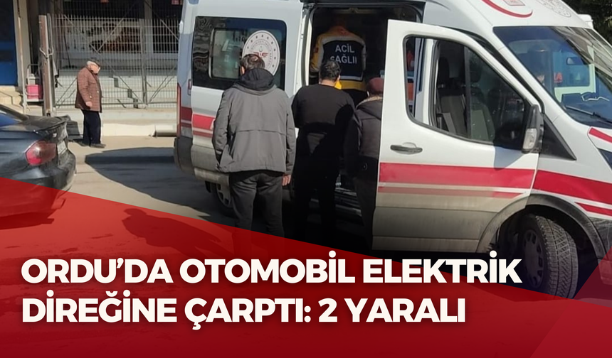 Ordu’da Otomobil Elektrik Direğine Çarptı: 2 Yaralı