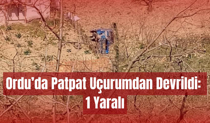 Ordu’da Patpat Uçurumdan Devrildi: 1 Yaralı