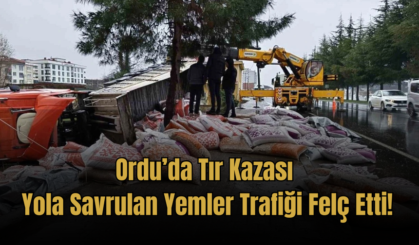 Ordu’da Tır Kazası: Yola Savrulan Yemler Trafiği Felç Etti!