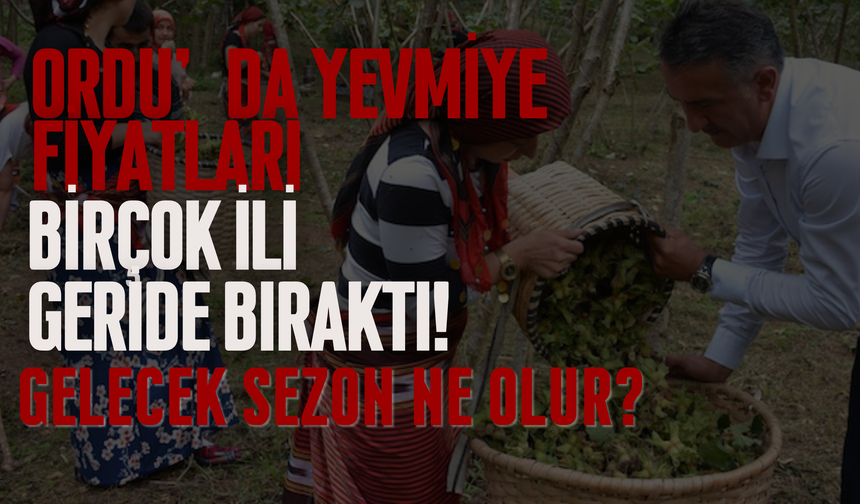 Ordu’da Yevmiye Fiyatları Birçok İli Geride Bıraktı! Gelecek Sezon Ne Olur?