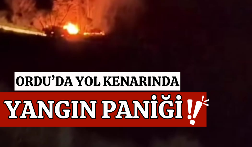 Ordu’da Yol Kenarında Yangın Paniği